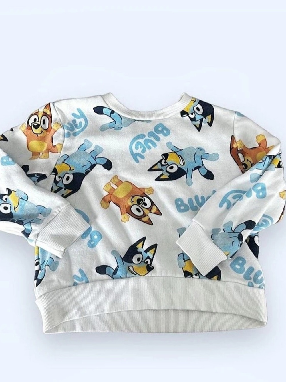 Bluey Kids Graphic Sweatshirt in White & Blue